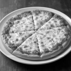 Mozzarella cheese pizza
