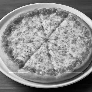 Plain Cheese Pizza