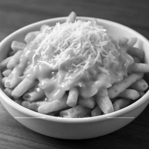 Cheese Over Load Fries