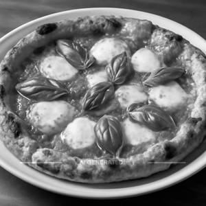 Margarita Pizza
