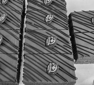 Belgium chocolate Pastry