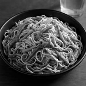 Veg Hakka Noodles