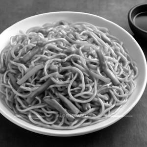 Veg Hakka Noodles