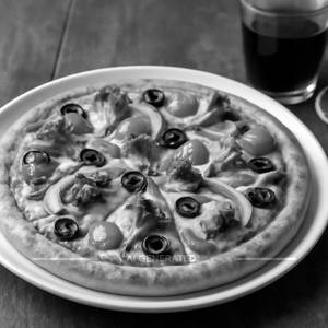 Veg Loaded Pizza