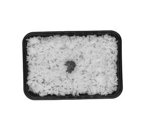 Regular Sticky Rice