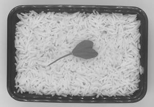 Basmati Rice.