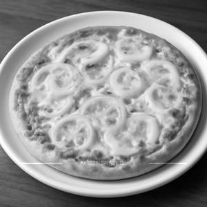 Onion cheese pizza