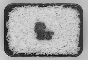 Regular Non Sticky Rice