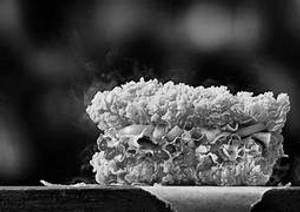 Classic Crunch Down Chicken Burger
