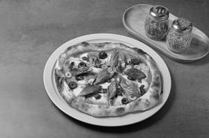 Venezia Pizza Sourdough Neapolitan Pizza