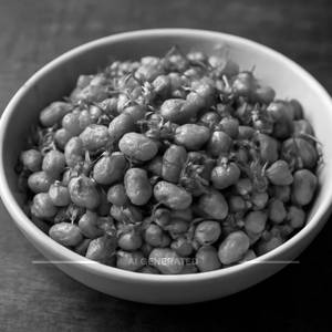 Peanut Masala