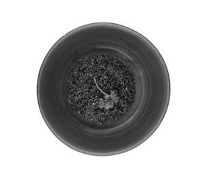 Black Rice