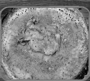 Mulbagal Ghee Pudi Dosa