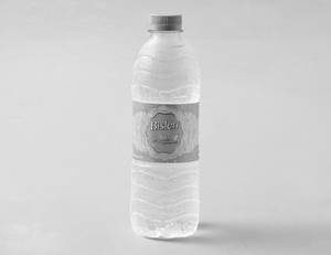 Bisleri Bliss - Mineral Water [500 ml]