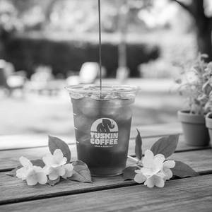 Iced Jasmine Tea Americano