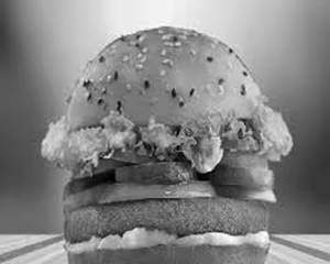 Reg. Cheese Burger