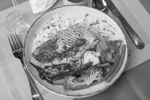 Grilled Chicken Steak