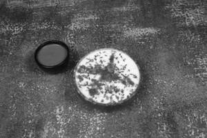 Mixed Vegetable Raita