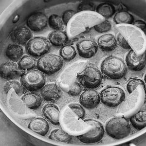 Lemon Mushroom Gravy