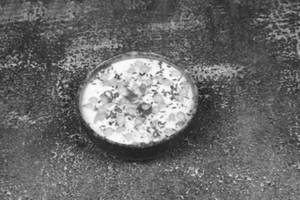 Boondi Raita
