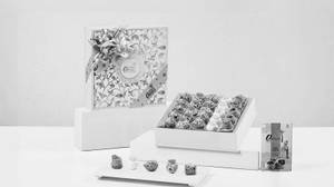 MJ-286 MARINE 25 PCS Collection