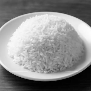 Plain rice