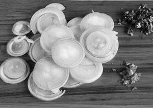 Onion Salad