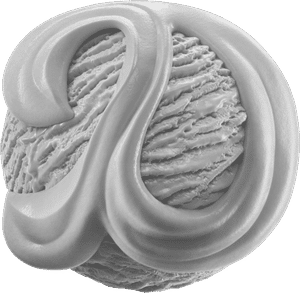 Strawberry Scoop