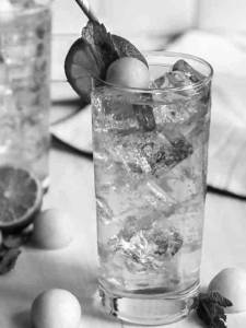Mint Mojito