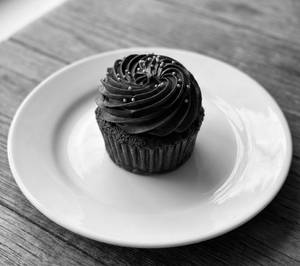 Chocolate Cupcake