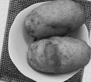 Bread Rolls