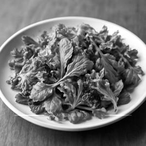 Fresh Green Salad