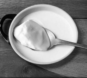 Plain Curd [120 Gram]