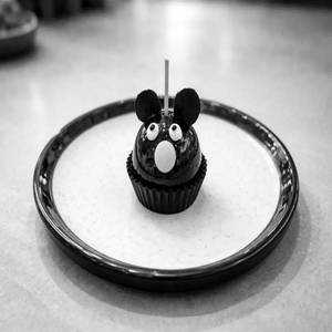 Teddy Pop
