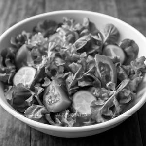 Fresh Green Salad