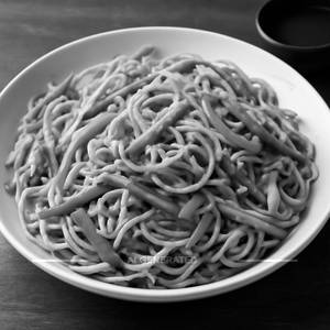 Veg Hakka Noodles