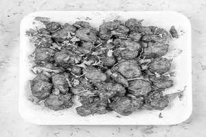 Gobi Manchuriann