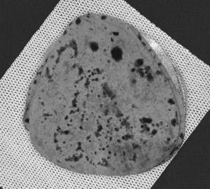 Sada Paratha