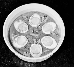 Egg Universal