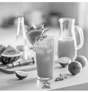 Watermelon Cooler Mocktail