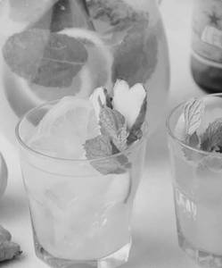 Lime Mint And Ginger