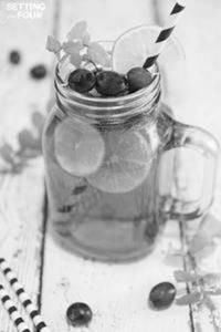 Cranberry Mojito