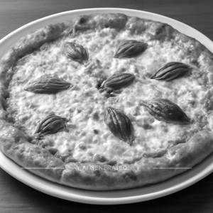 Double Cheese Margherita Pizza  