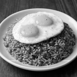 Double egg fried rice
