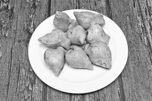 Chidiya Samosa