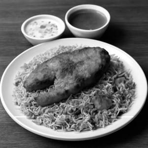 Fish Biryani (b/l)