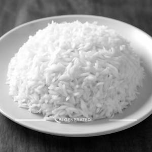 Plain Rice