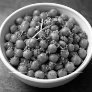 Chana Dry