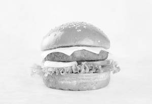 Desi Delight Burger