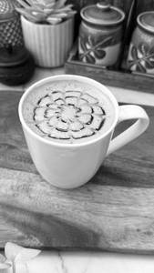 Hot Coffee